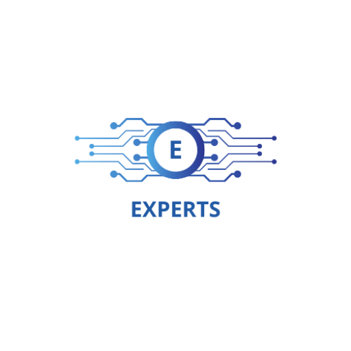 experts-ds.com